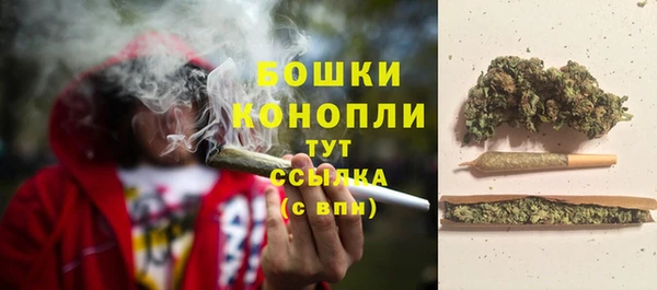 экстази Бородино